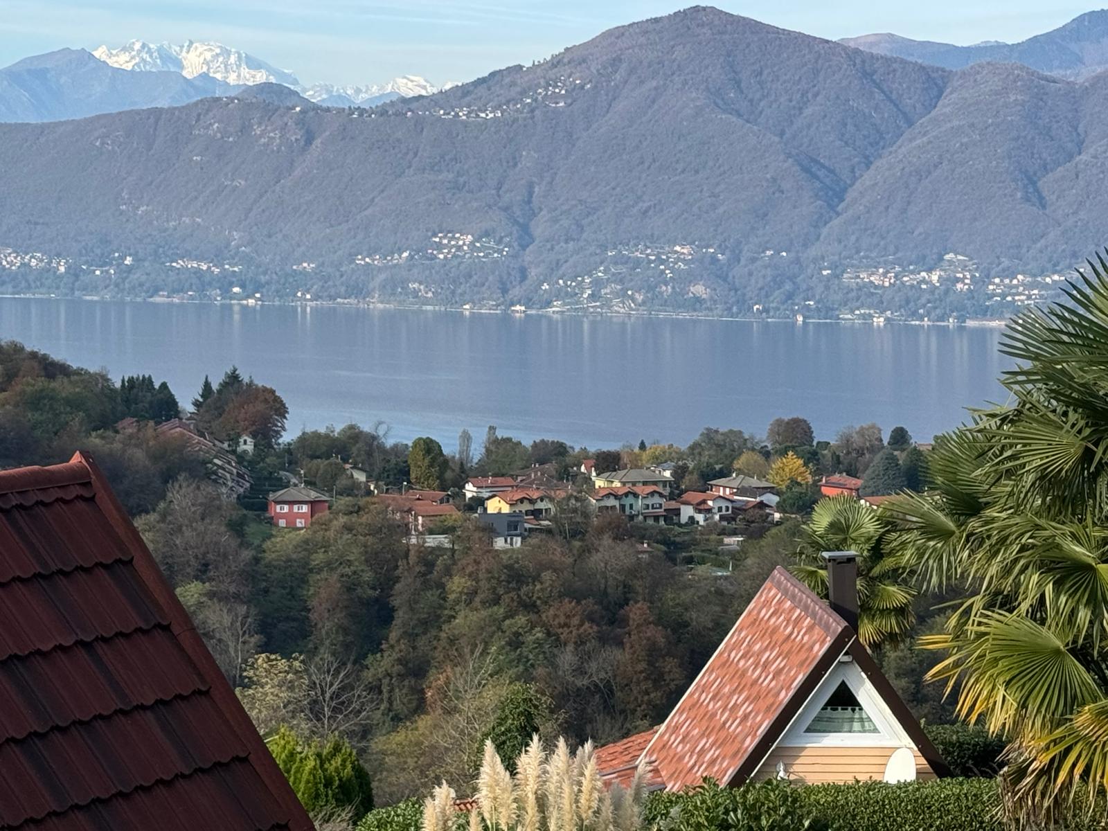 WhatsApp Image 2024-11-09 at 10.54.43