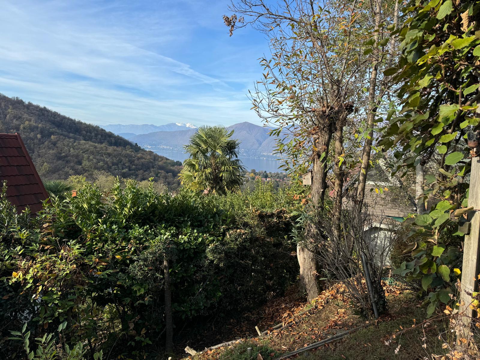 WhatsApp Image 2024-11-09 at 10.54.44